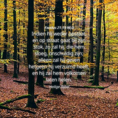 Picture 04 - Exodus 21:19 NLD - Indien hij weder opstaat, en op straat gaat bij - Bible Verse Picture