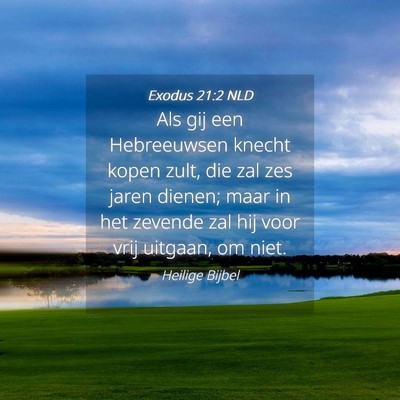 Picture 04 - Exodus 21:2 NLD - Als gij een Hebreeuwsen knecht kopen zult, die - Bible Verse Picture