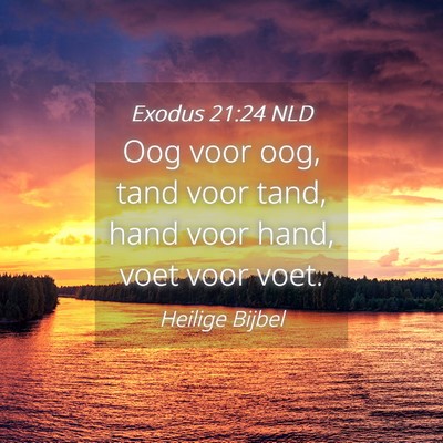 Picture 04 - Exodus 21:24 NLD - Oog voor oog, tand voor tand, hand voor hand, - Bible Verse Picture
