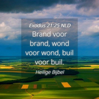 Picture 04 - Exodus 21:25 NLD - Brand voor brand, wond voor wond, buil voor - Bible Verse Picture