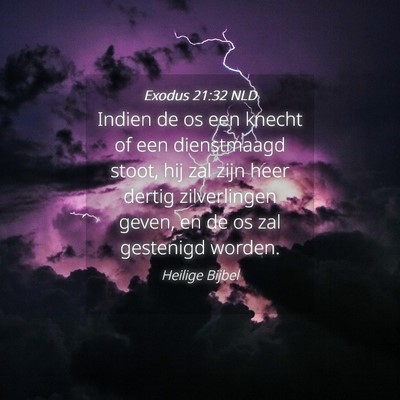 Picture 04 - Exodus 21:32 NLD - Indien de os een knecht of een dienstmaagd stoot, - Bible Verse Picture