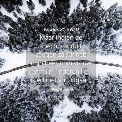 Picture 04 - Exodus 21:5 NLD - Maar indien de knecht ronduit zeggen zal: Ik heb - Bible Verse Picture