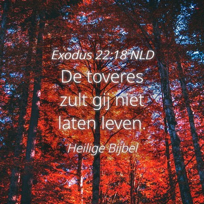 Picture 04 - Exodus 22:18 NLD - De toveres zult gij niet laten - Bible Verse Picture