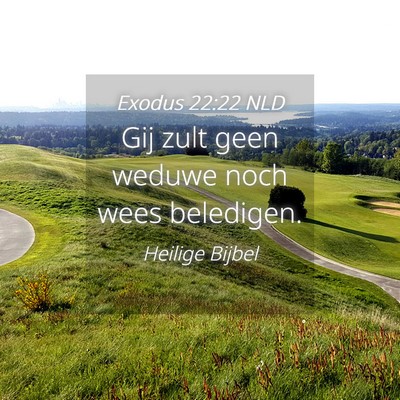 Picture 04 - Exodus 22:22 NLD - Gij zult geen weduwe noch wees - Bible Verse Picture
