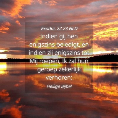 Picture 04 - Exodus 22:23 NLD - Indien gij hen enigszins beledigt, en indien zij - Bible Verse Picture