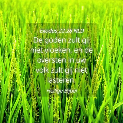 Picture 04 - Exodus 22:28 NLD - De goden zult gij niet vloeken, en de oversten in - Bible Verse Picture