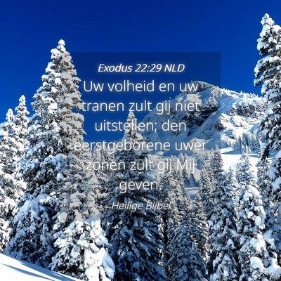 Picture 04 - Exodus 22:29 NLD - Uw volheid en uw tranen zult gij niet uitstellen; - Bible Verse Picture