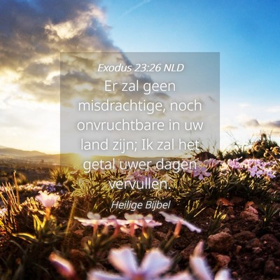 Picture 04 - Exodus 23:26 NLD - Er zal geen misdrachtige, noch onvruchtbare in uw - Bible Verse Picture