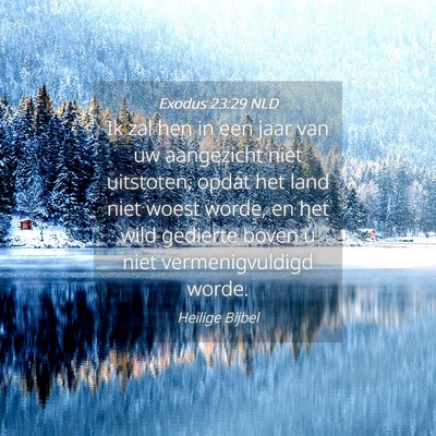 Picture 04 - Exodus 23:29 NLD - Ik zal hen in een jaar van uw aangezicht niet - Bible Verse Picture
