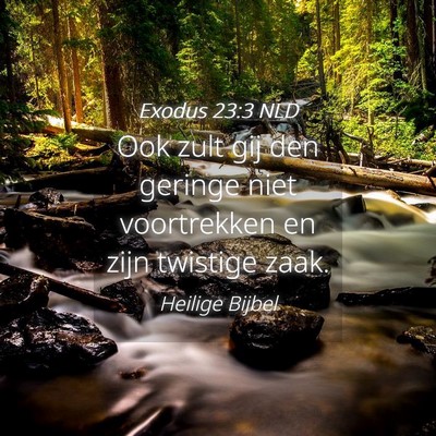 Picture 04 - Exodus 23:3 NLD - Ook zult gij den geringe niet voortrekken en zijn - Bible Verse Picture