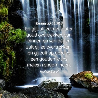 Picture 04 - Exodus 25:11 NLD - En gij zult ze met louter goud overtrekken, van - Bible Verse Picture