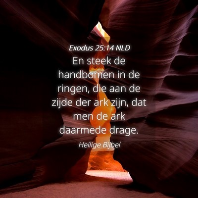 Picture 04 - Exodus 25:14 NLD - En steek de handbomen in de ringen, die aan de - Bible Verse Picture