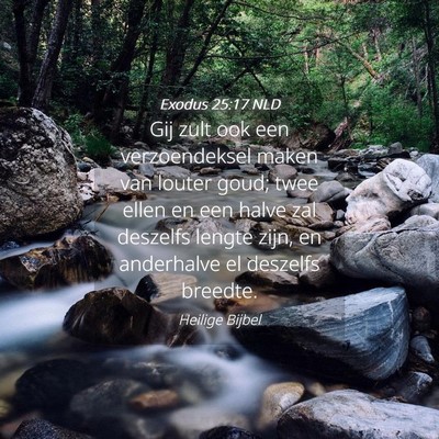 Picture 04 - Exodus 25:17 NLD - Gij zult ook een verzoendeksel maken van louter - Bible Verse Picture