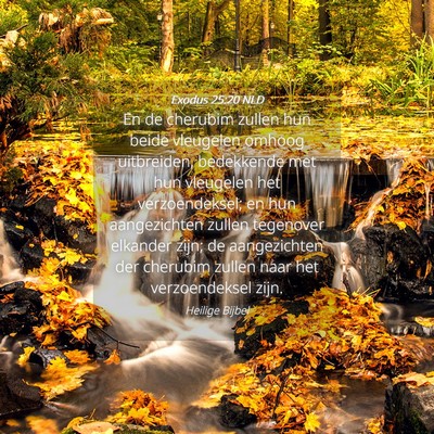 Picture 04 - Exodus 25:20 NLD - En de cherubim zullen hun beide vleugelen omhoog - Bible Verse Picture