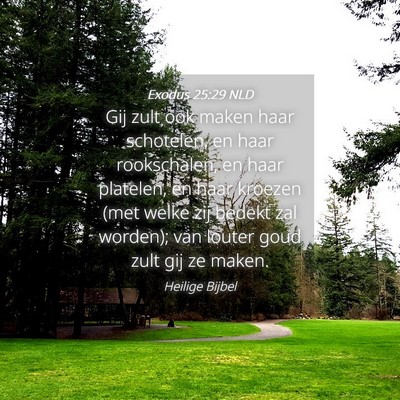 Picture 04 - Exodus 25:29 NLD - Gij zult ook maken haar schotelen, en haar - Bible Verse Picture