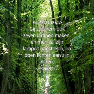 Picture 04 - Exodus 25:37 NLD - Gij zult hem ook zeven lampen maken, en men zal - Bible Verse Picture