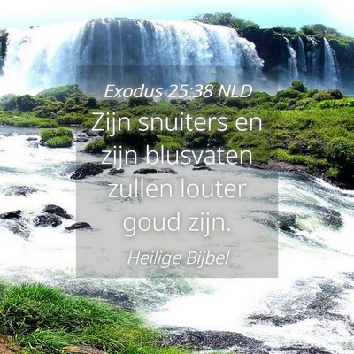 Picture 04 - Exodus 25:38 NLD - Zijn snuiters en zijn blusvaten zullen louter - Bible Verse Picture
