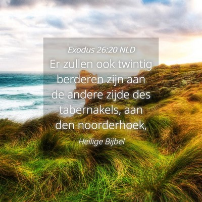 Picture 04 - Exodus 26:20 NLD - Er zullen ook twintig berderen zijn aan de andere - Bible Verse Picture