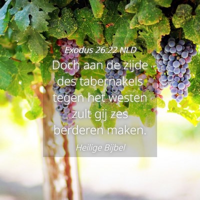 Picture 04 - Exodus 26:22 NLD - Doch aan de zijde des tabernakels tegen het - Bible Verse Picture
