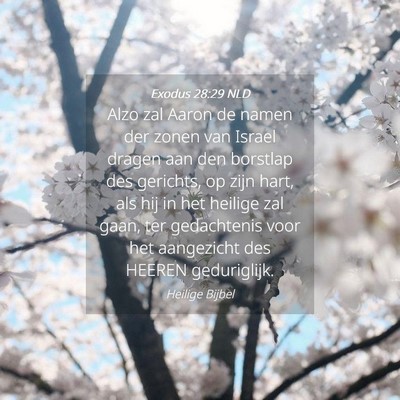 Picture 04 - Exodus 28:29 NLD - Alzo zal Aaron de namen der zonen van Israel - Bible Verse Picture