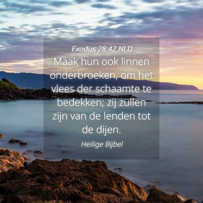 Picture 04 - Exodus 28:42 NLD - Maak hun ook linnen onderbroeken, om het vlees - Bible Verse Picture