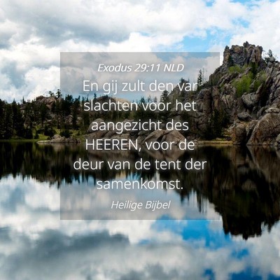 Picture 04 - Exodus 29:11 NLD - En gij zult den var slachten voor het aangezicht - Bible Verse Picture