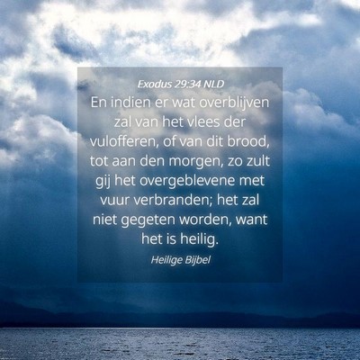 Picture 04 - Exodus 29:34 NLD - En indien er wat overblijven zal van het vlees - Bible Verse Picture