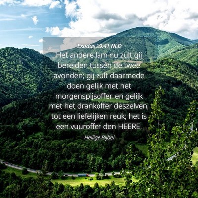 Picture 04 - Exodus 29:41 NLD - Het andere lam nu zult gij bereiden tussen de - Bible Verse Picture