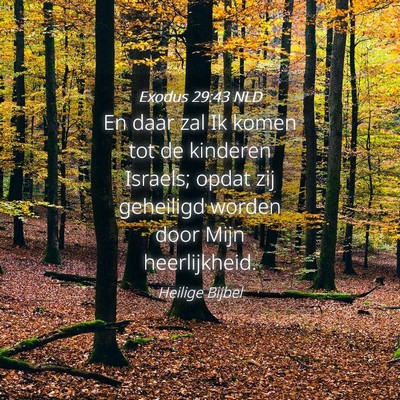 Picture 04 - Exodus 29:43 NLD - En daar zal Ik komen tot de kinderen Israels; - Bible Verse Picture