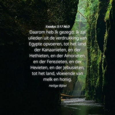 Picture 04 - Exodus 3:17 NLD - Daarom heb Ik gezegd: Ik zal ulieden uit de - Bible Verse Picture