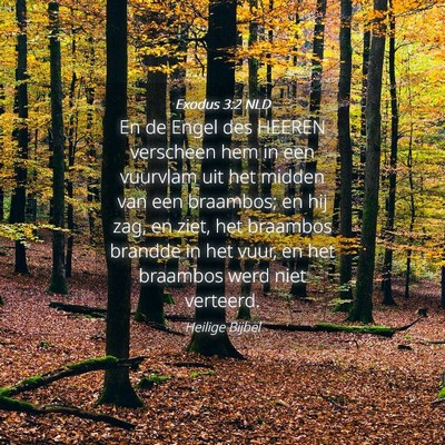 Picture 04 - Exodus 3:2 NLD - En de Engel des HEEREN verscheen hem in een - Bible Verse Picture