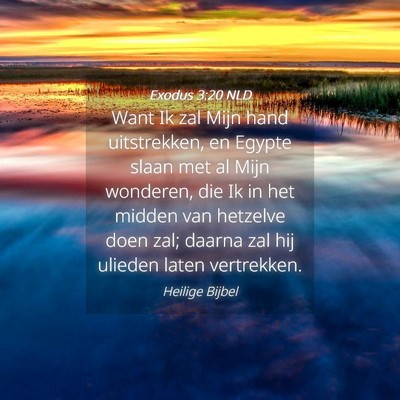 Picture 04 - Exodus 3:20 NLD - Want Ik zal Mijn hand uitstrekken, en Egypte - Bible Verse Picture