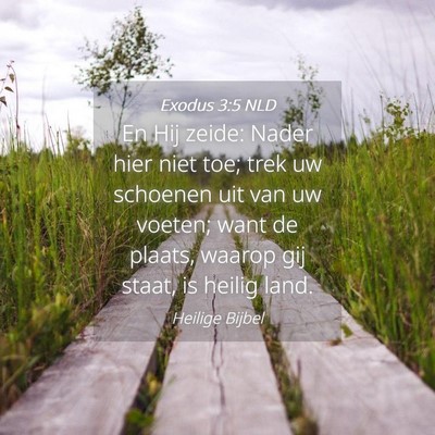 Picture 04 - Exodus 3:5 NLD - En Hij zeide: Nader hier niet toe; trek uw - Bible Verse Picture