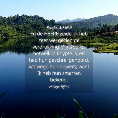 Picture 04 - Exodus 3:7 NLD - En de HEERE zeide: Ik heb zeer wel gezien de - Bible Verse Picture