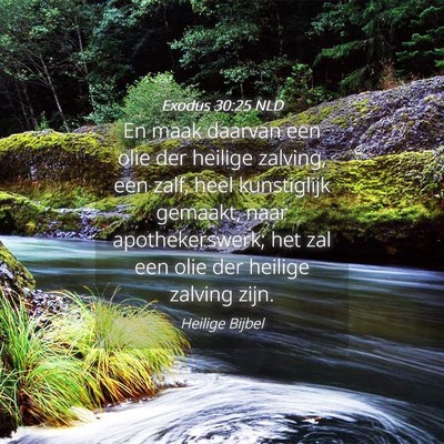 Picture 04 - Exodus 30:25 NLD - En maak daarvan een olie der heilige zalving, een - Bible Verse Picture