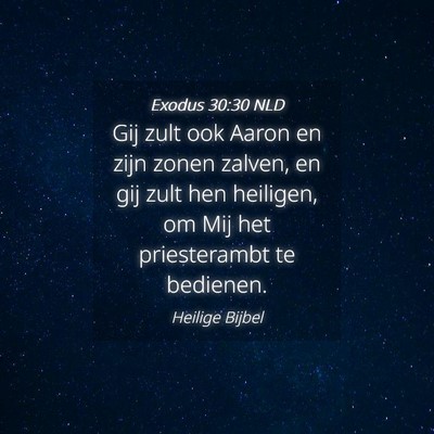 Picture 04 - Exodus 30:30 NLD - Gij zult ook Aaron en zijn zonen zalven, en gij - Bible Verse Picture