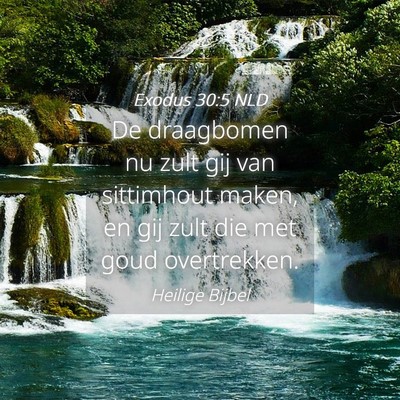 Picture 04 - Exodus 30:5 NLD - De draagbomen nu zult gij van sittimhout maken, - Bible Verse Picture
