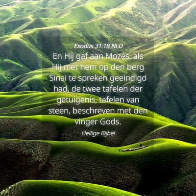 Picture 04 - Exodus 31:18 NLD - En Hij gaf aan Mozes, als Hij met hem op den berg - Bible Verse Picture