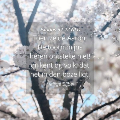 Picture 04 - Exodus 32:22 NLD - Toen zeide Aaron: De toorn mijns heren ontsteke - Bible Verse Picture