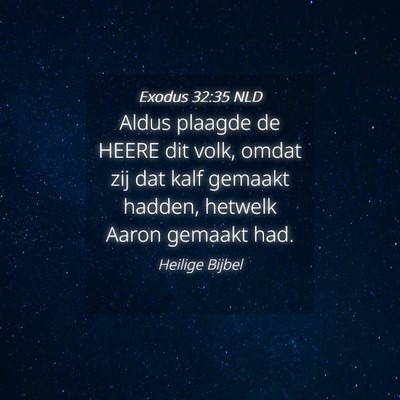 Picture 04 - Exodus 32:35 NLD - Aldus plaagde de HEERE dit volk, omdat zij dat - Bible Verse Picture