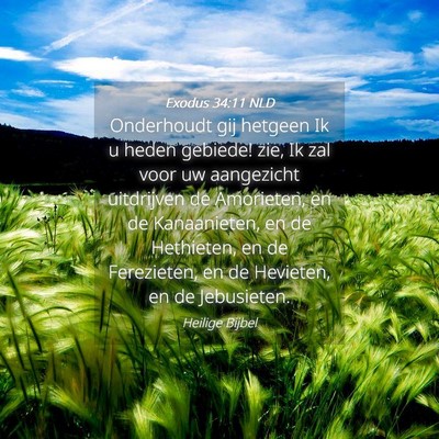 Picture 04 - Exodus 34:11 NLD - Onderhoudt gij hetgeen Ik u heden gebiede! zie, - Bible Verse Picture