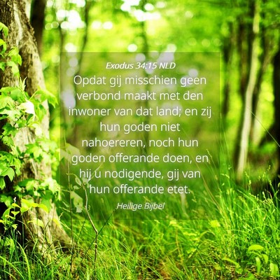 Picture 04 - Exodus 34:15 NLD - Opdat gij misschien geen verbond maakt met den - Bible Verse Picture