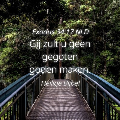 Picture 04 - Exodus 34:17 NLD - Gij zult u geen gegoten goden - Bible Verse Picture