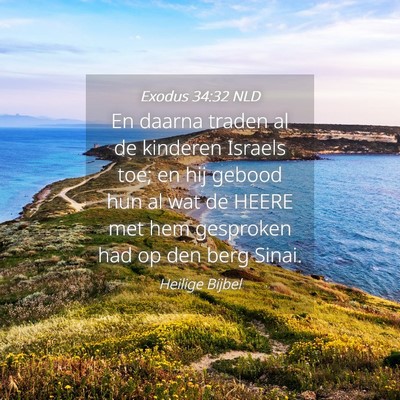 Picture 04 - Exodus 34:32 NLD - En daarna traden al de kinderen Israels toe; en - Bible Verse Picture