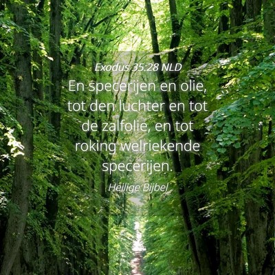 Picture 04 - Exodus 35:28 NLD - En specerijen en olie, tot den luchter en tot de - Bible Verse Picture