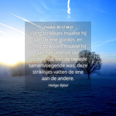 Picture 04 - Exodus 36:12 NLD - Vijftig striklisjes maakte hij aan de ene - Bible Verse Picture