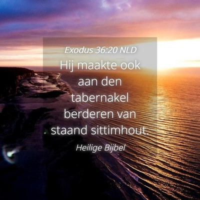 Picture 04 - Exodus 36:20 NLD - Hij maakte ook aan den tabernakel berderen van - Bible Verse Picture