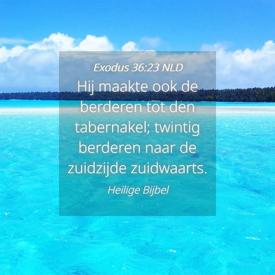 Picture 04 - Exodus 36:23 NLD - Hij maakte ook de berderen tot den tabernakel; - Bible Verse Picture