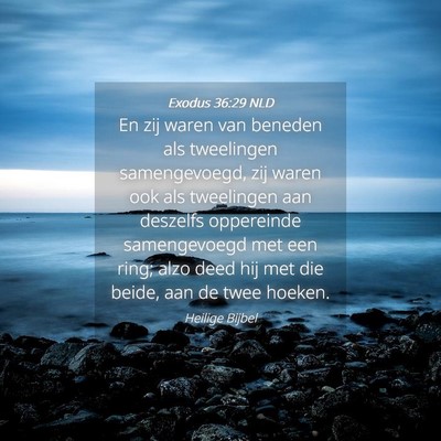 Picture 04 - Exodus 36:29 NLD - En zij waren van beneden als tweelingen - Bible Verse Picture