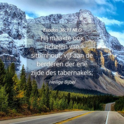 Picture 04 - Exodus 36:31 NLD - Hij maakte ook richelen van sittimhout; vijf aan - Bible Verse Picture